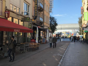 Grand appartement au centre ville